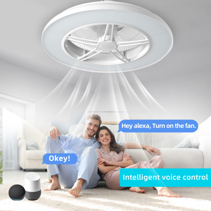 BAYSQUIRREL WiFi Low Profile Ceiling Fan with Light,Bluetooth Speaker Ceiling Fan with Alexa/Google Assistant/App Control - Image 2