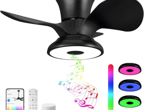 24 inch Smart Ceiling Fan 8224